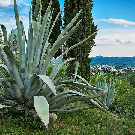 Holiday home Castellina Di Bocco *