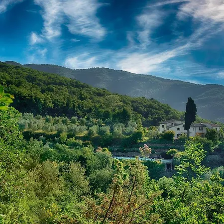 Holiday home Castellina Di Bocco *