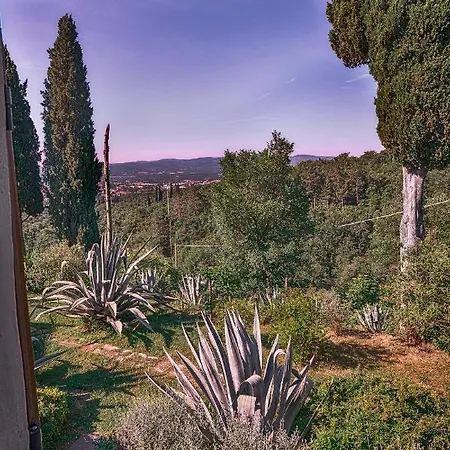 Holiday home Castellina Di Bocco Castiglion Fibocchi