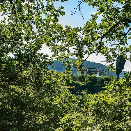 Castellina Di Bocco * Castiglion Fibocchi